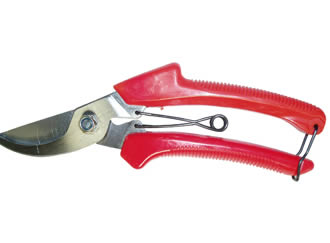 Pruner P1010051