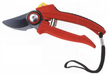 Pruner P0386B