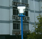 Solar Garden Light