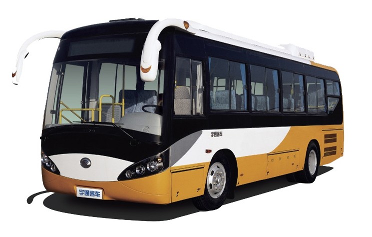 ZK6936HGN| gold value classic quality